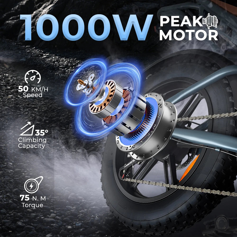 DEEPOWER QS7 Electric Bicycle 1000W Motor 48V60AH lithium battery Aldult Electric Bike 20*4.0 -In Fat Tire Snow E-bike EU Stock