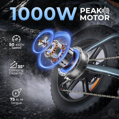 DEEPOWER QS7 Electric Bicycle 1000W Motor 48V60AH lithium battery Aldult Electric Bike 20*4.0 -In Fat Tire Snow E-bike EU Stock