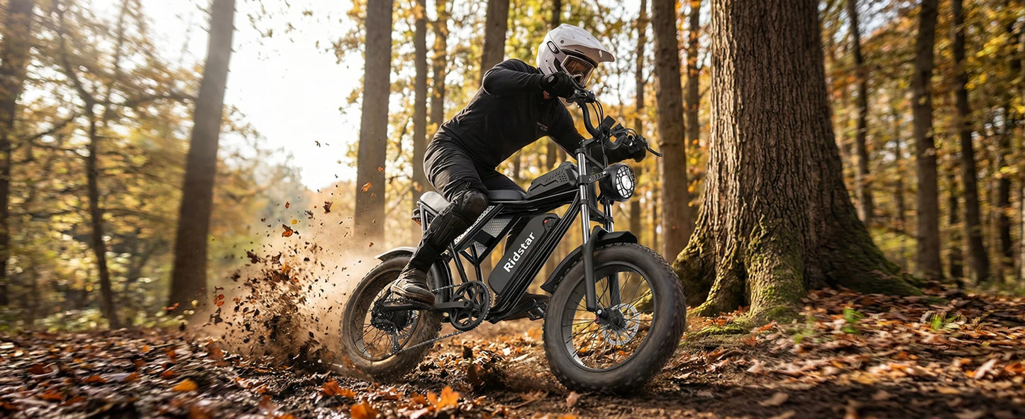 Ridstar Q30 2000W Electric Bike for Adults 48V 20Ah Detachable Battery 33MPH & 88 Miles Electric Motorcycle 20’’ Fat Tire E-Mou