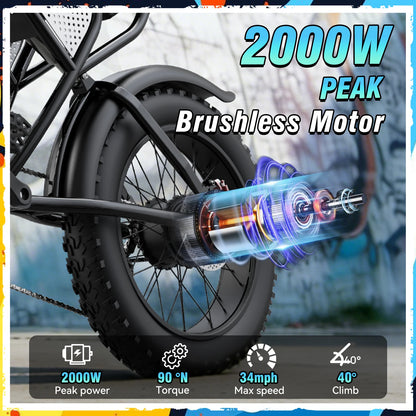 Ridstar Q30 2000W Electric Bike for Adults 48V 20Ah Detachable Battery 33MPH & 88 Miles Electric Motorcycle 20’’ Fat Tire E-Mou