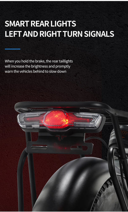 Ridstar Folding Electric Bike for Adults 1500W 48V 15AH 30MPH 50Miles 20" Fat Tire City Commuter EBike Foldable Bicycle UL2849